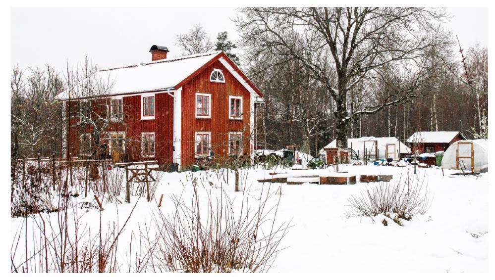 Det syns inte utifrån, men under snön i Sara Bäckmos trädgård växer massor av goda grönsaker året om.