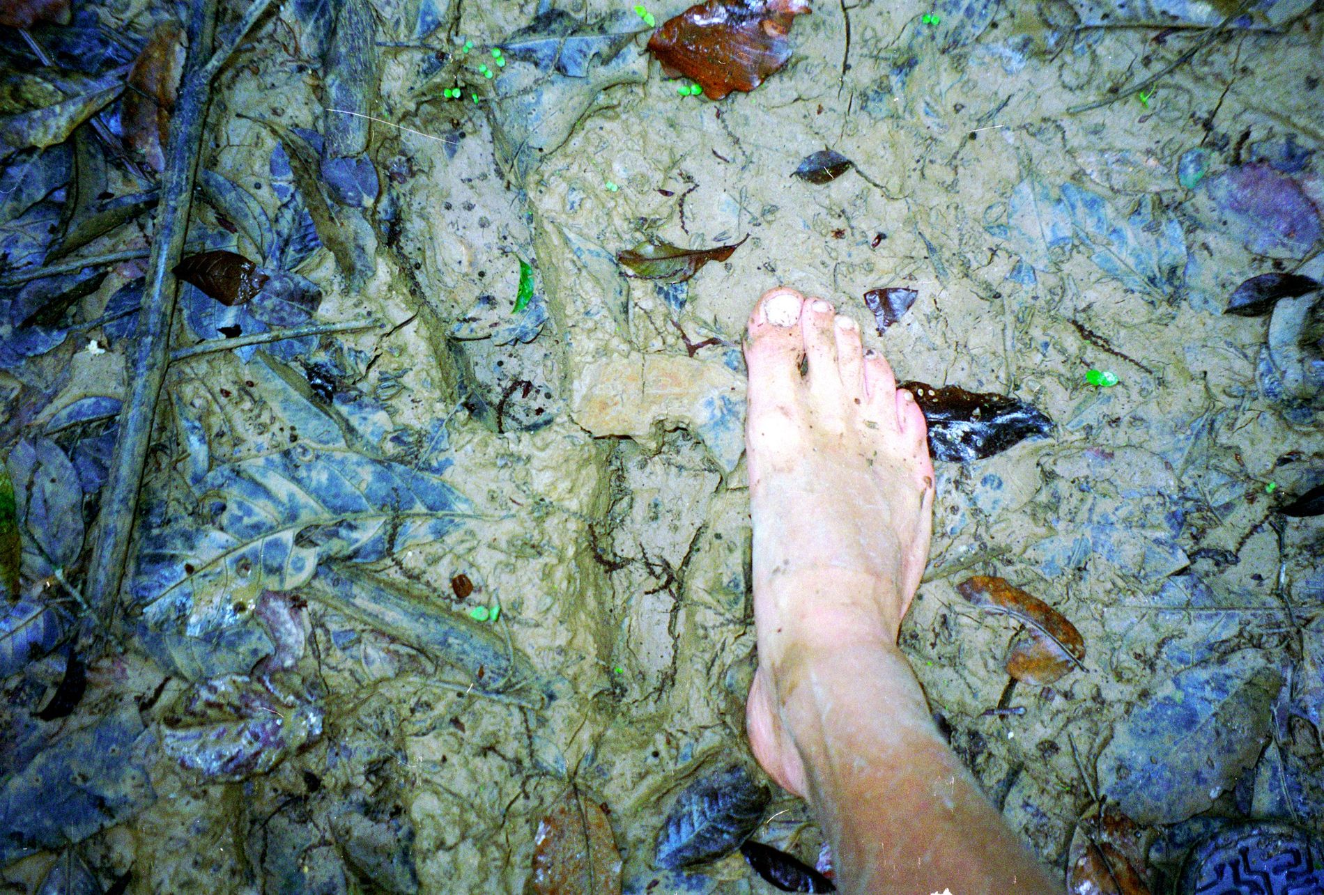 PÅ SPORET AV ET UKJENT FOLK: Langt inne i Amazonas fant Anders Krogh ferske fotspor etter det langhårede folket. Bildene hans ble brukt til å dokumentere deres eksistens. 