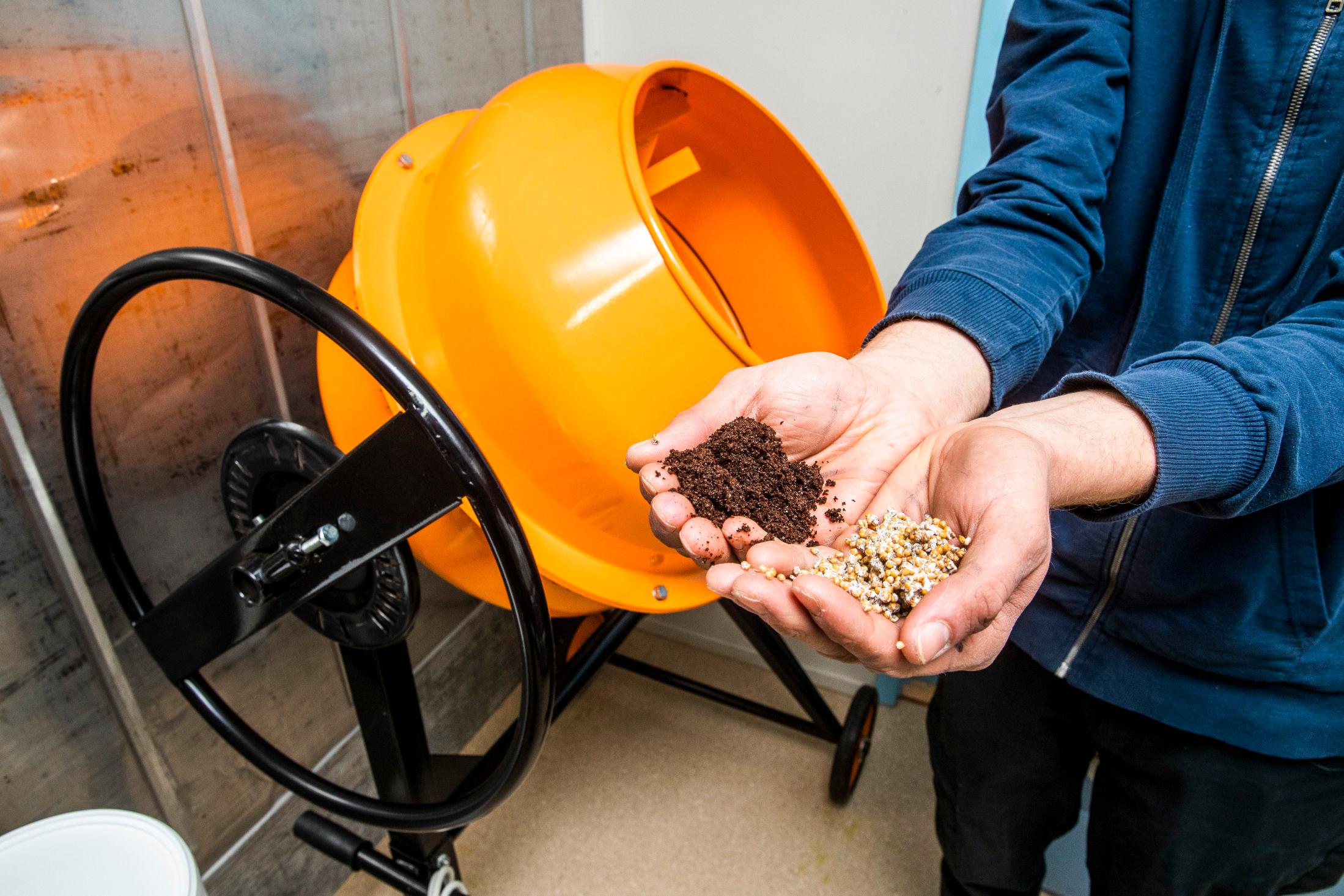 TO INGREDIENSER: Kaffegruten og soppmycelet blandes sammen i en betongblander før soppen kan begynne å gro. Foto: Frode Hansen/VG