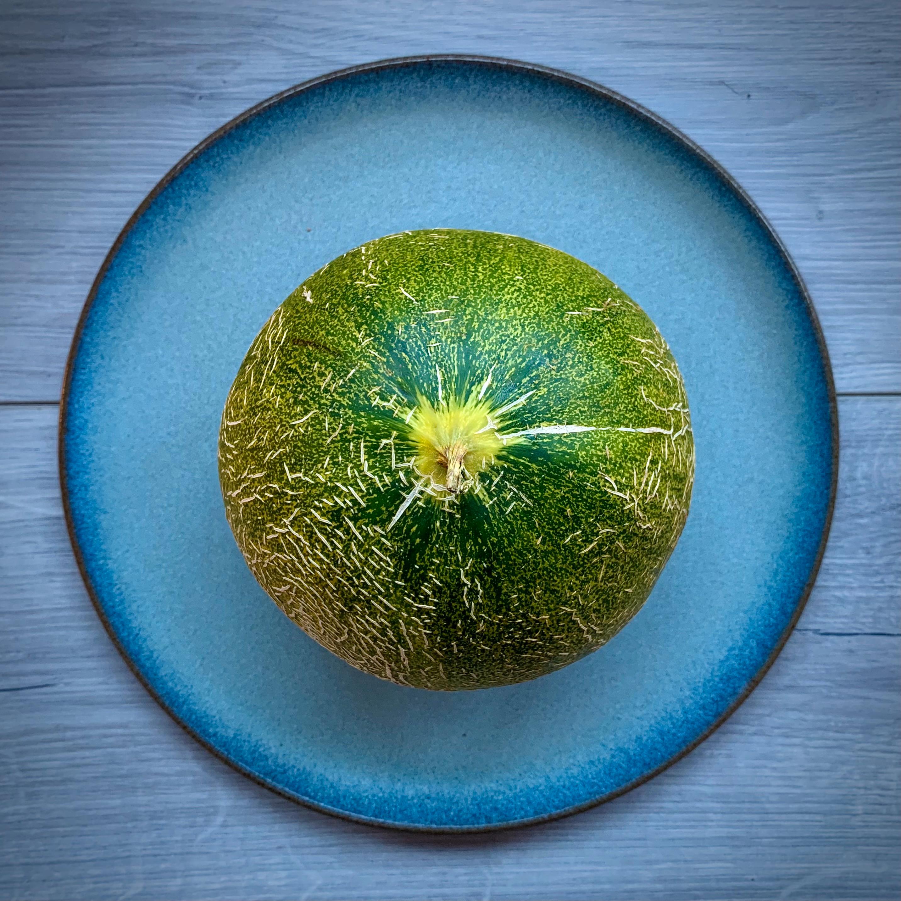 NYKOMMER: Denne melonen er ny i Norge.