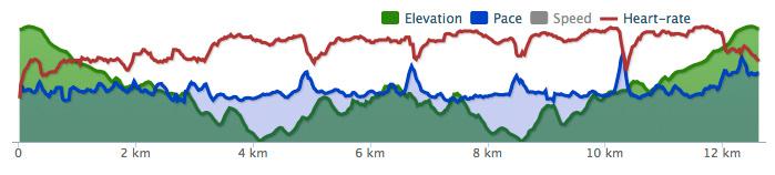 Slik kan en løpetur med intervalltrening se ut i Runkeeper. Rød strek er puls, grønn høydeprofil på løypa og blå hastighet.