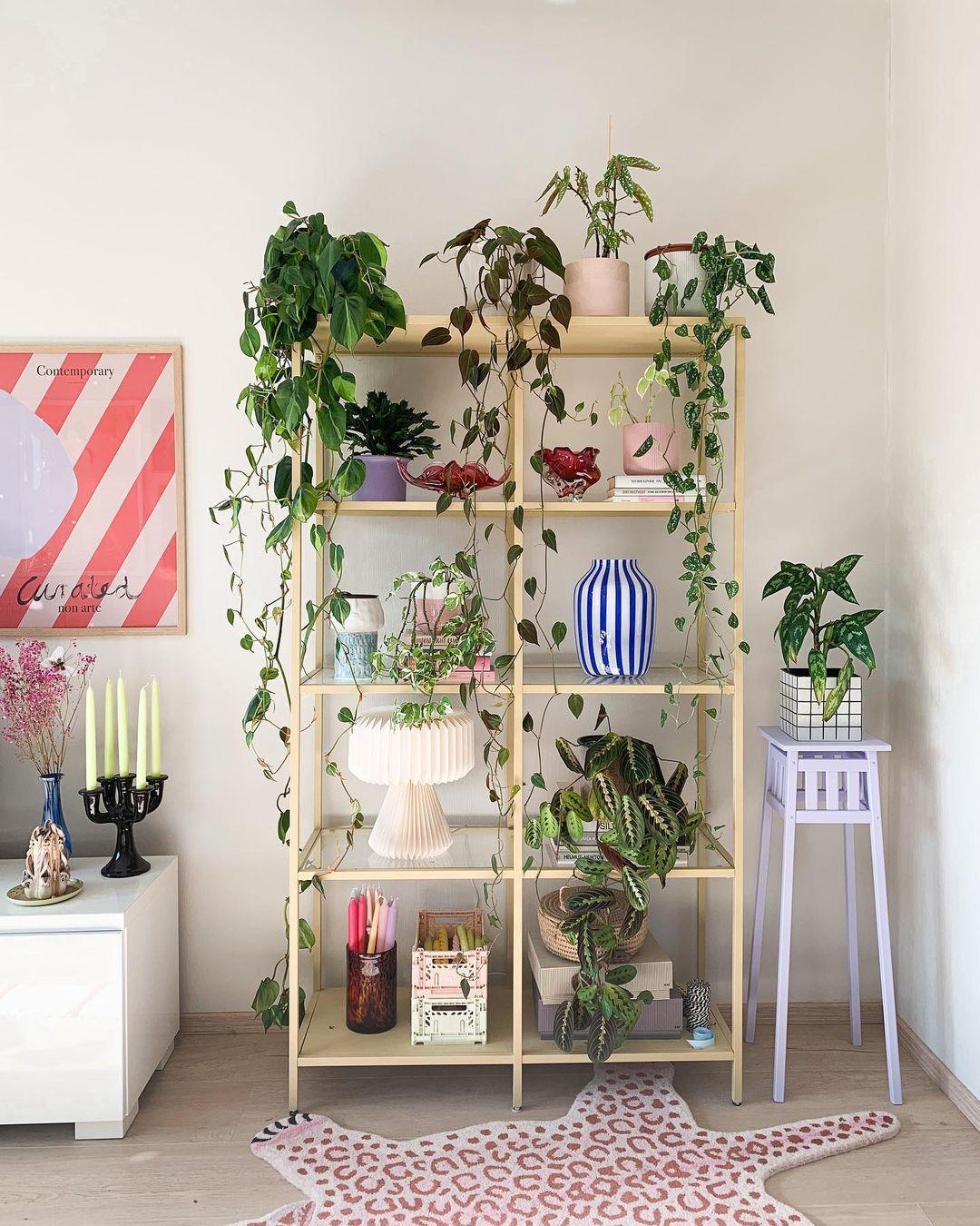 YNDLINGSMØBEL: Denne hyllen fra Ikea har Krieger malt og fylt med planter og dekor. 