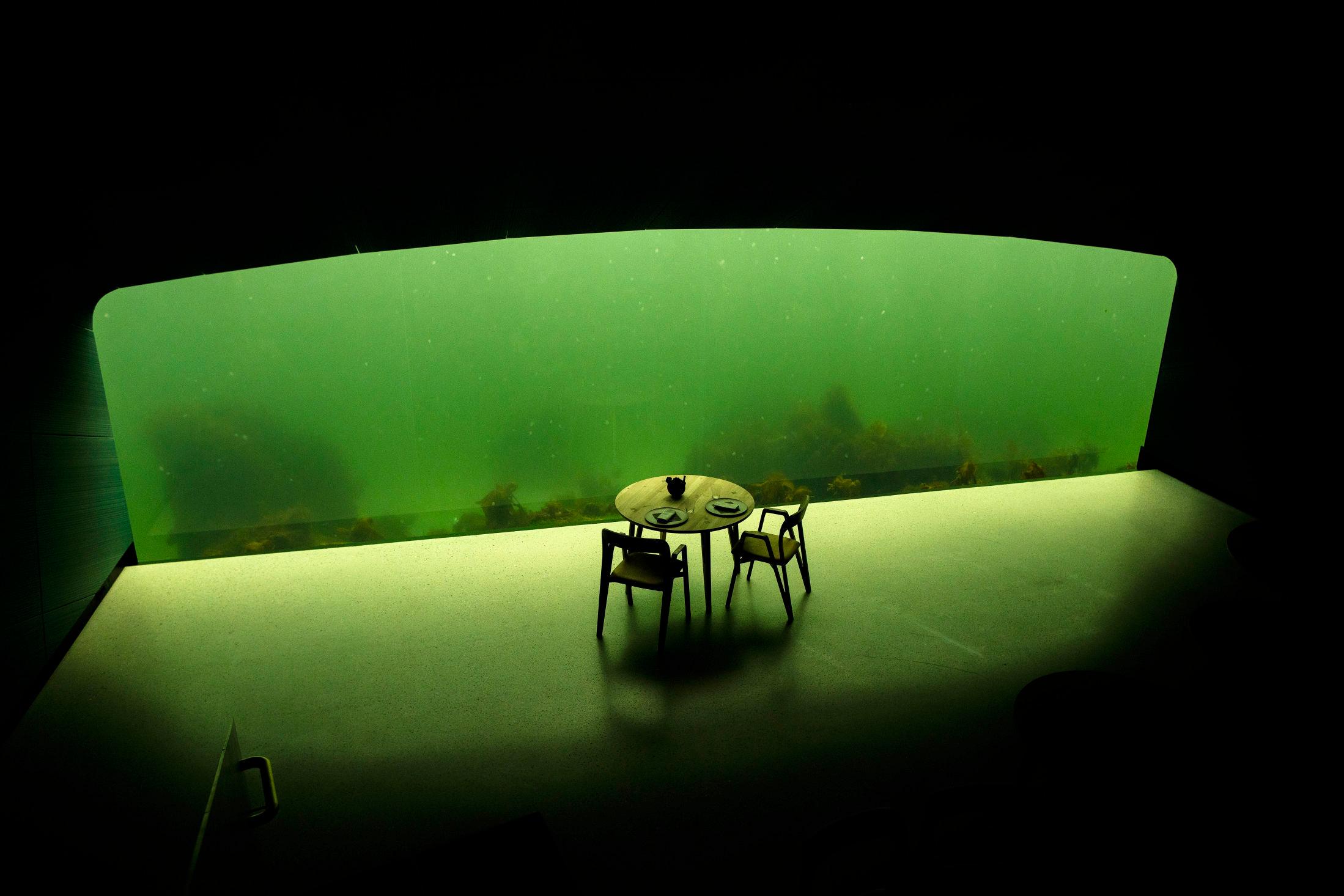 UTSIKT: Nyt måltidet mens glassmaneter svømmer forbi. Foto: Tomm W. Christiansen/VG