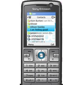 Skype Lite fungerer blant annet på Sony Ericsson-telefoner.
