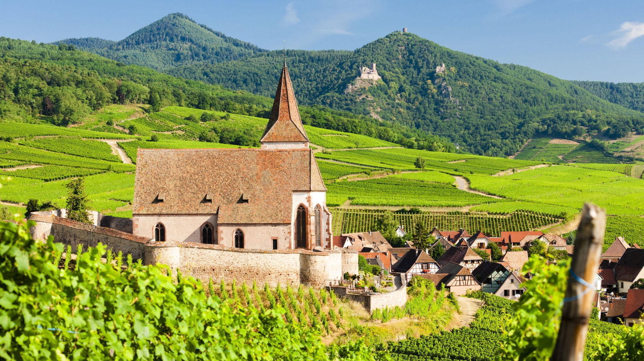 IDYLL: Hunawihr i Alsace er ett av de mange billedskjønne reisemålene som vinelskerne har å velge mellom. Foto: NTB Scanpix.