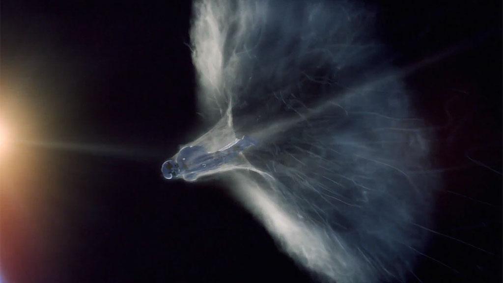 GJENNOM LYDMUREN: Ingeniørene har regnet ut at Felix Baumgartner vil være det første mennesket til å bryte lydmuren 35 sekunder etter at han forlater kapselen.Foto: YouTube, Red Bull Statos