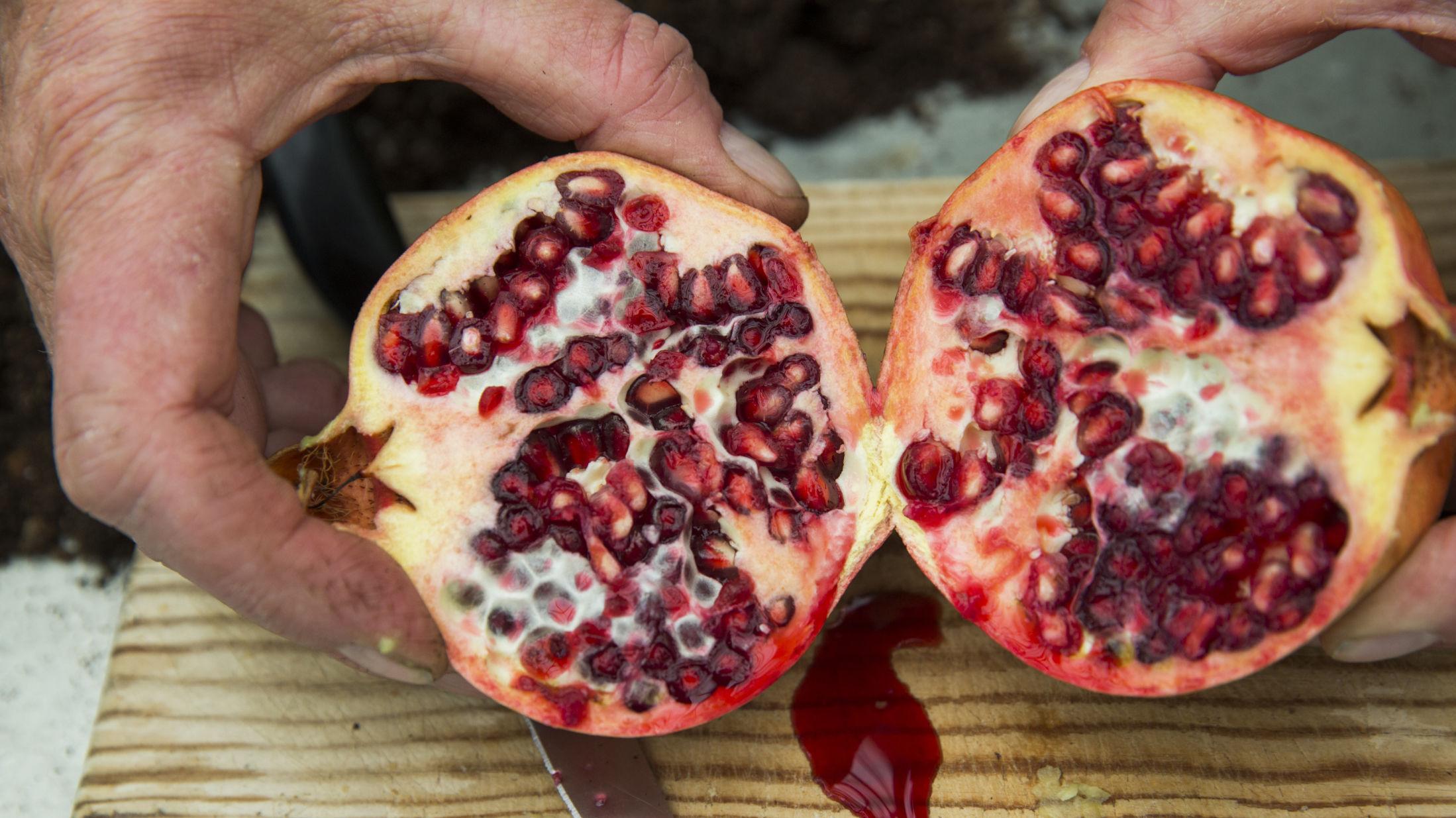 EKSOTISK: Under det harde skallet til granateple skjuler små, næringsrike fruktperler. Foto: Berit Roald / NTB scanpix