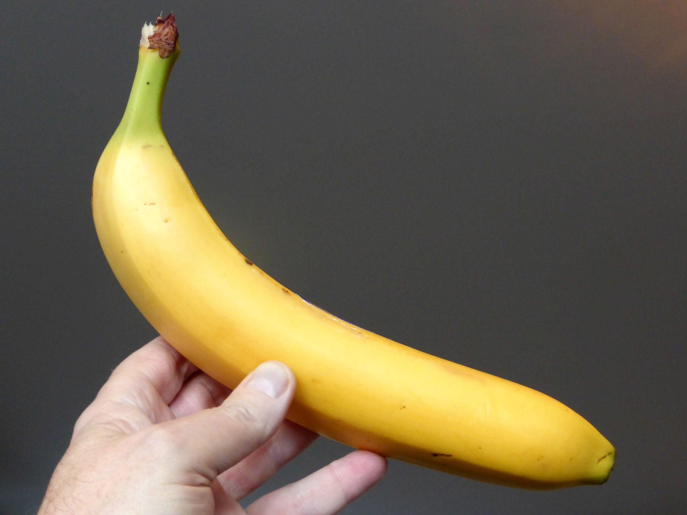 FLERE FUNKSJONER: Bananen fungerer like bra på brødskiven, som skopuss eller i tekstiler. Foto: Jan Ovind/VG