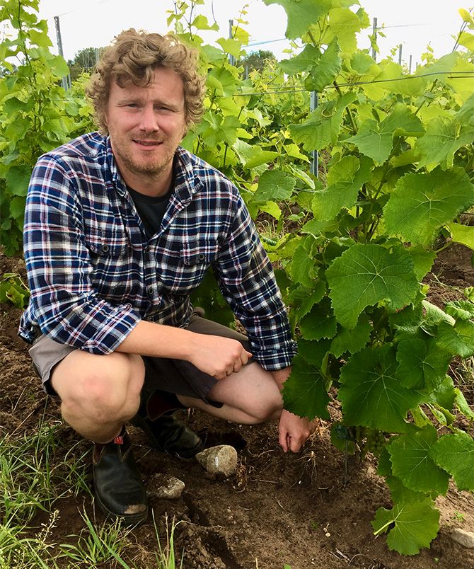 Australiern Ryan Montgomery jobbar på Thora vingård.