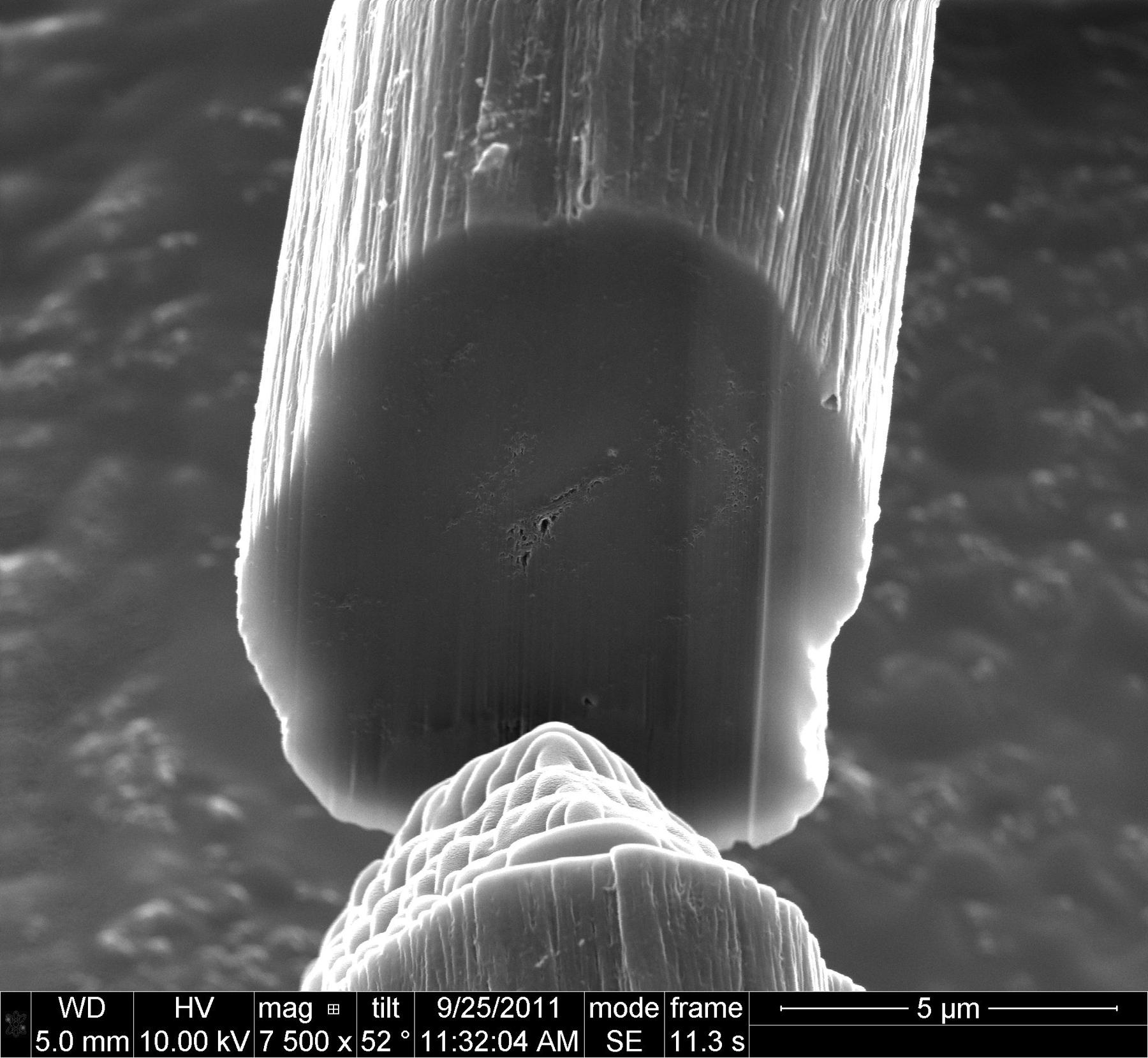 Bildet, tatt med elektronmikroskop, viser et tverrsnitt av et CNT-fiber – som består av flere millioner nanorør.Foto: D. Tsentalovich/Rice University