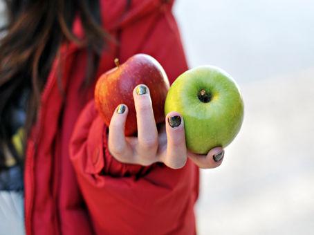 Bør vi spise mindre frukt? Dr. Hexeberg anbefaler at vår daglig kost i hovedsak består av kjøtt, fisk, fugl, egg, kaldpressede oljer, fete usukrede meieriprodukter, nøtter, frø, grønnsaker og bær.
(Foto: Jon-Are Berg-Jacobsen)