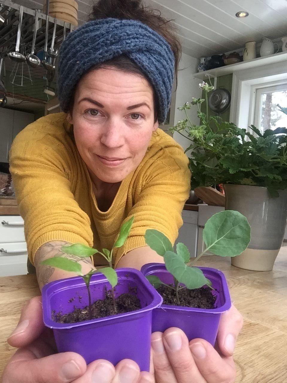 BYGDEKVINNE: Ingvild Stomsvik er med i Hillestad Bygdekvinnelag, og er glad i å dyrke grønnsaker hjemme. Her holder hun paprika og rosenkål som ble sådd i vinduskarmen i februar. Foto: Privat