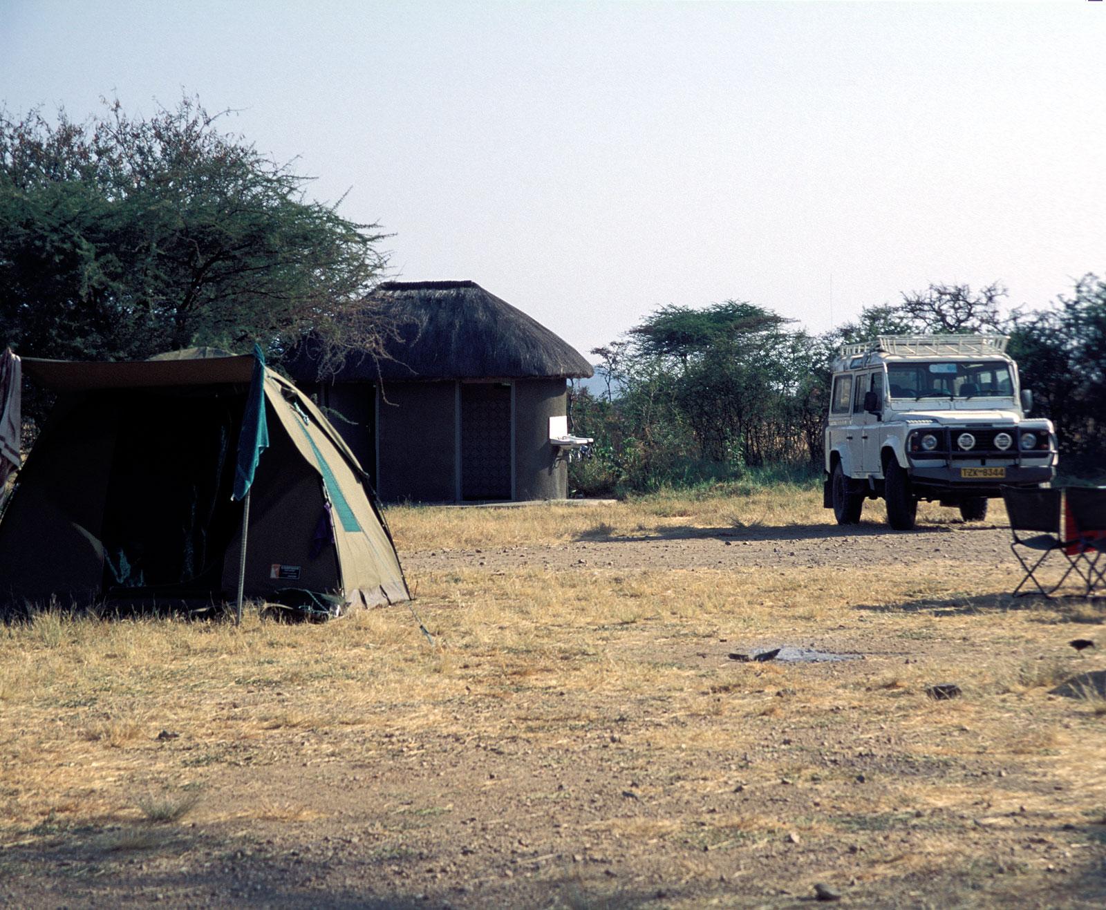 Dikdik campsite i Serengeti.