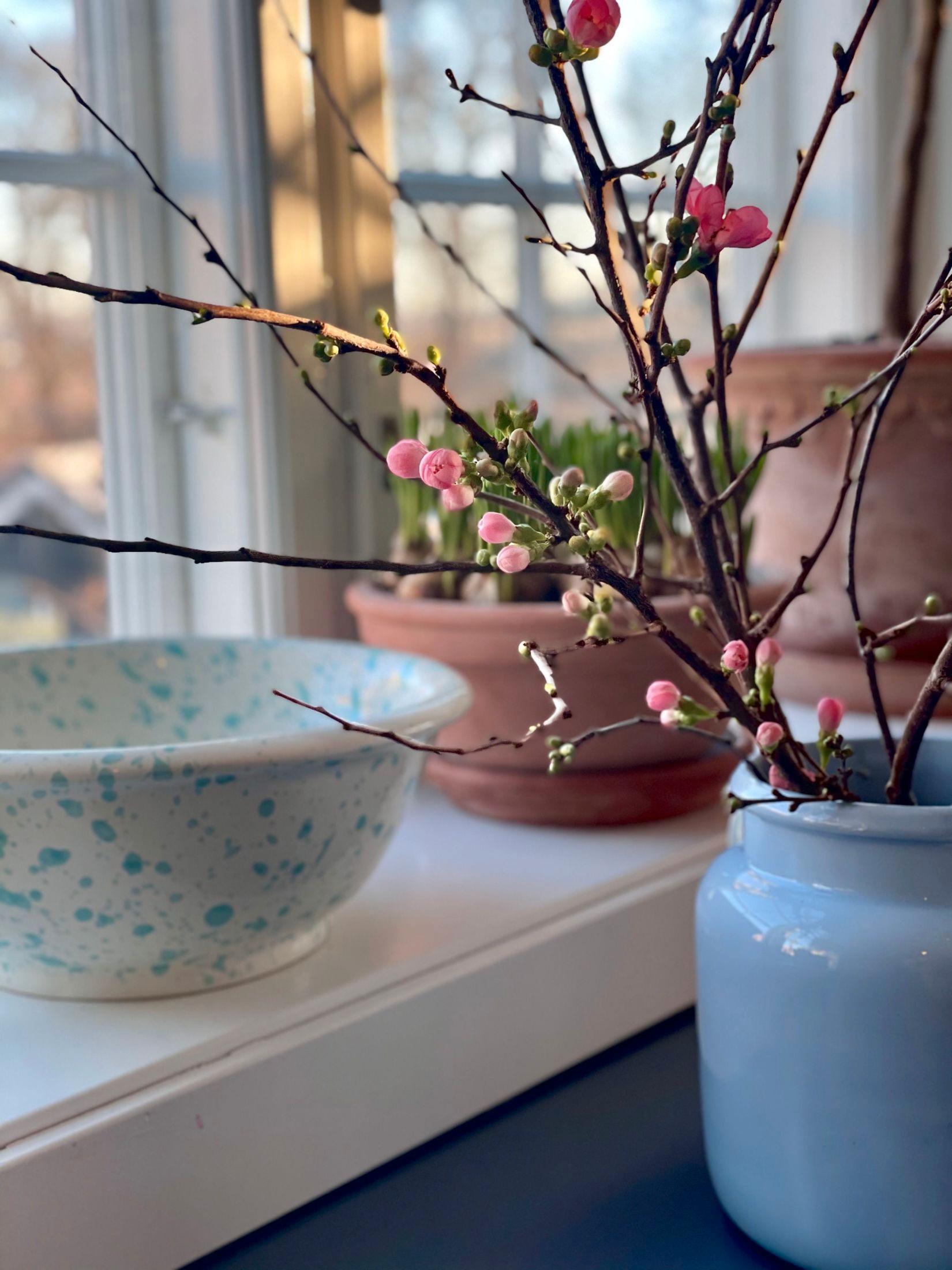 GRENER I VASE: Blomstergrenser i vase gir en frisk og vårlig følelse inne allerede nå, tipser Dam. Foto: Privat