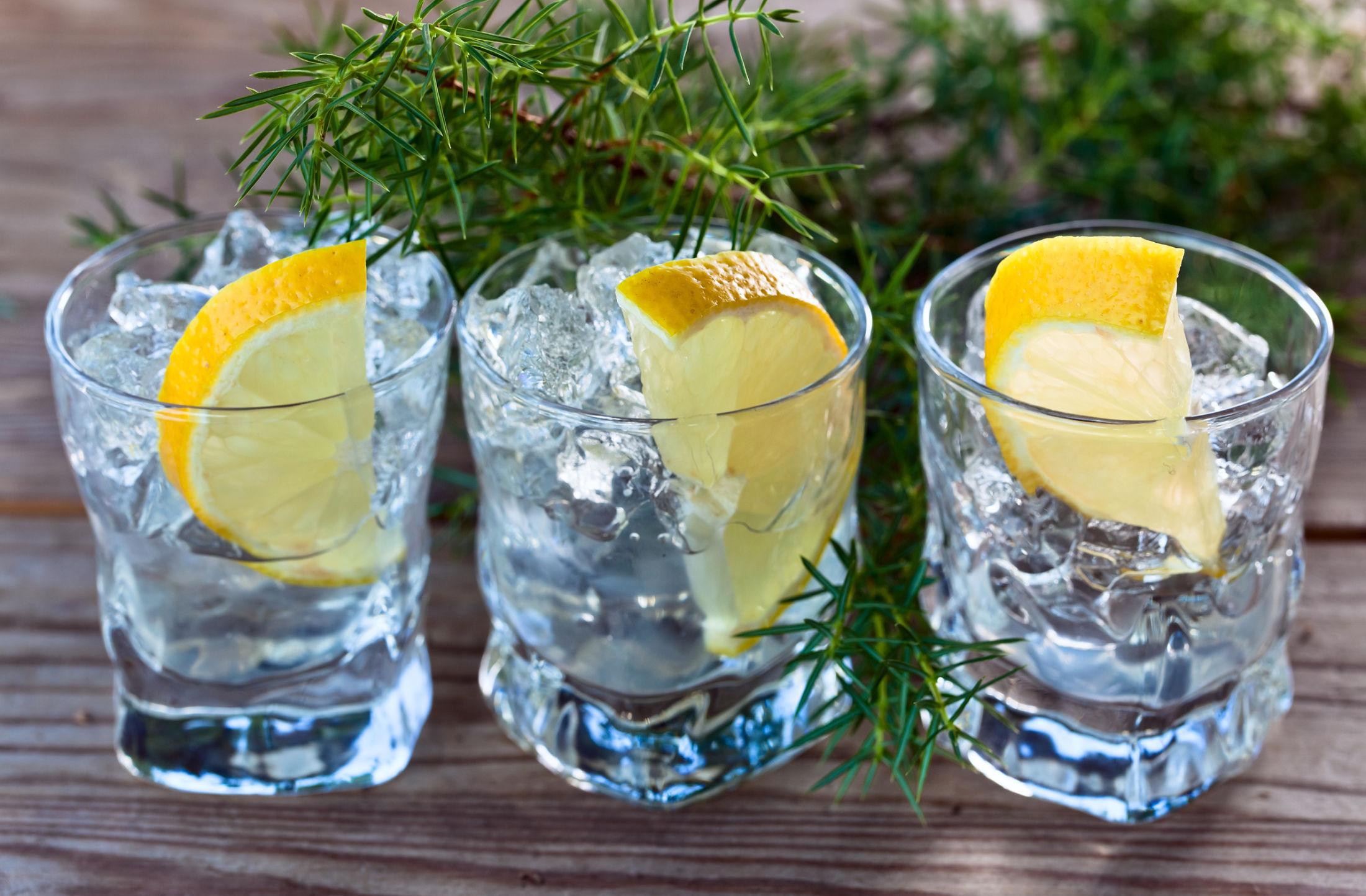 Gin er godt i drinken. Mix den med appelsinjuice, tonic eller sodavann. Eller drikk den ren over is, med bare isbiter og en skive sitron. Foto: Igor Normann/NTB Scanpix.