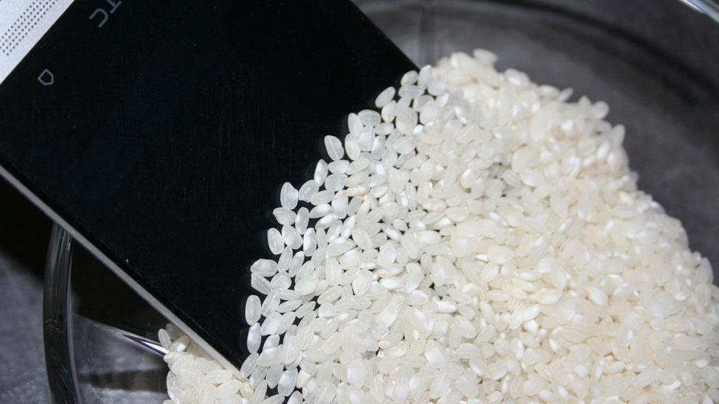 En bolle med ris (eller helst frokostblandingen Rice Krispies) skal angivelig være den tryggeste løsningen.Foto: Illustrasjonsbilde. V. Haugen. Teknofil.no