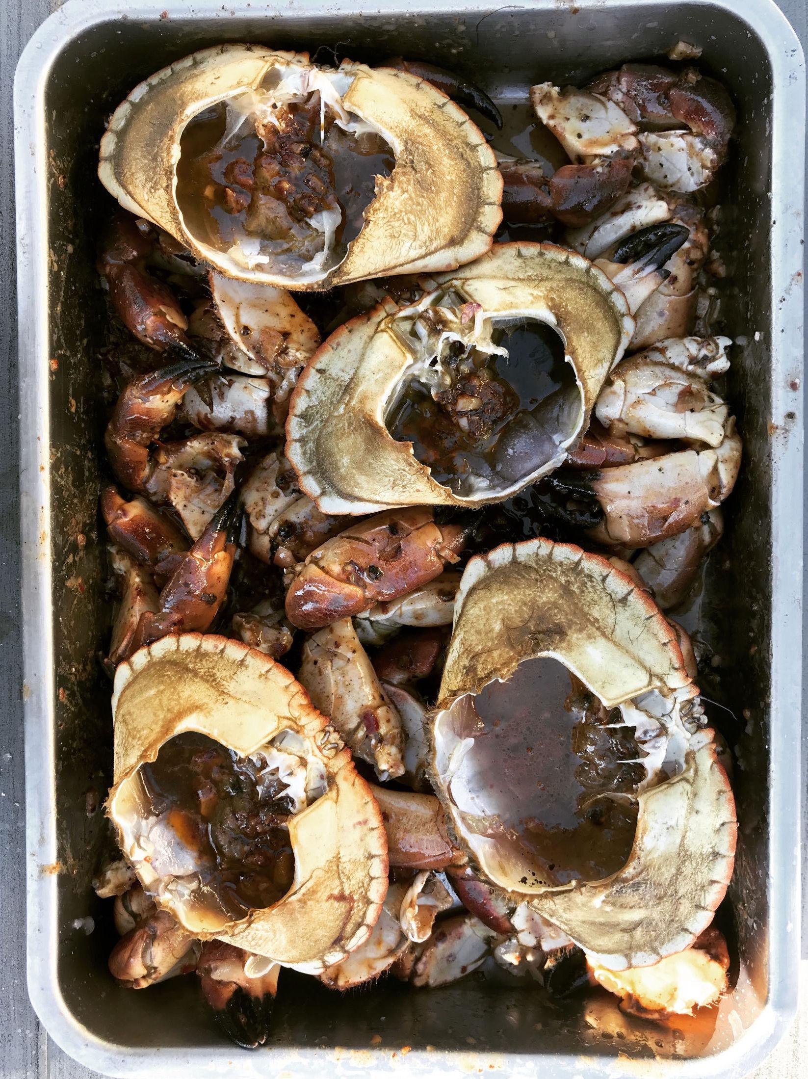 KRABBEGLAD: Kokken tipser om å koke krabbene i sjøvann og masse tang. Foto: Nicolai Ellitsgaard