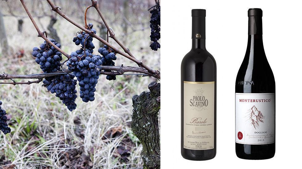 RØDT OG GODT: Denne uken har vinekspert Edvard Skramstad tatt en titt på rødvin fra Piemonte i Italia. Foto: Magnar Kirknes/VG/Produsentene