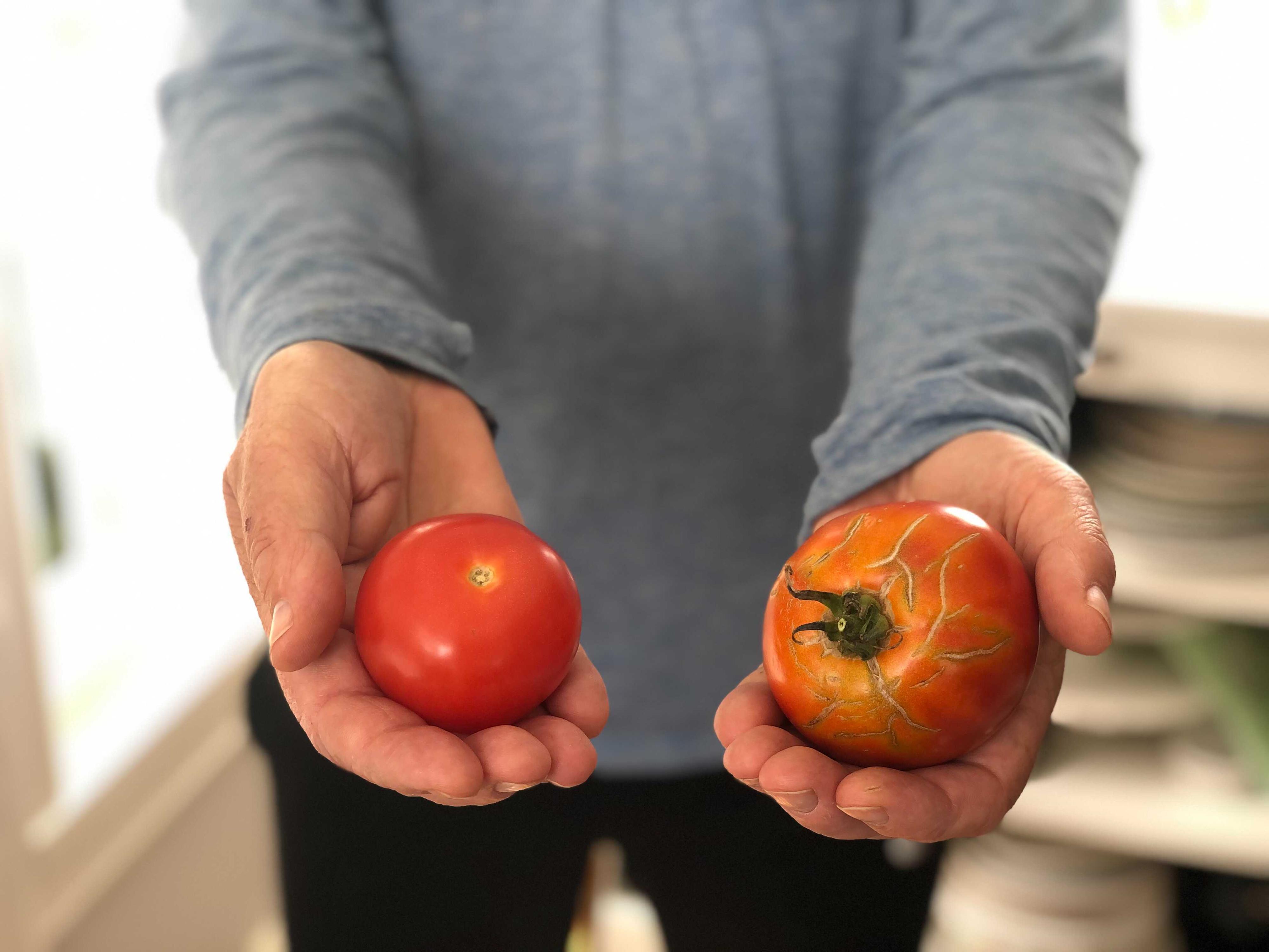 TOMAT-DILEMMA: Hvilken tomat ville du kjøpt? Tomaten til venstre koster 36,90 for kiloet, mens den til høyre koster 295 kroner kiloet.