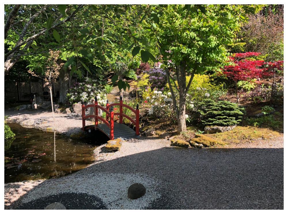 Klas och Margaretha Roos har skapat sig ett eget paradis, en japansk trädgård.