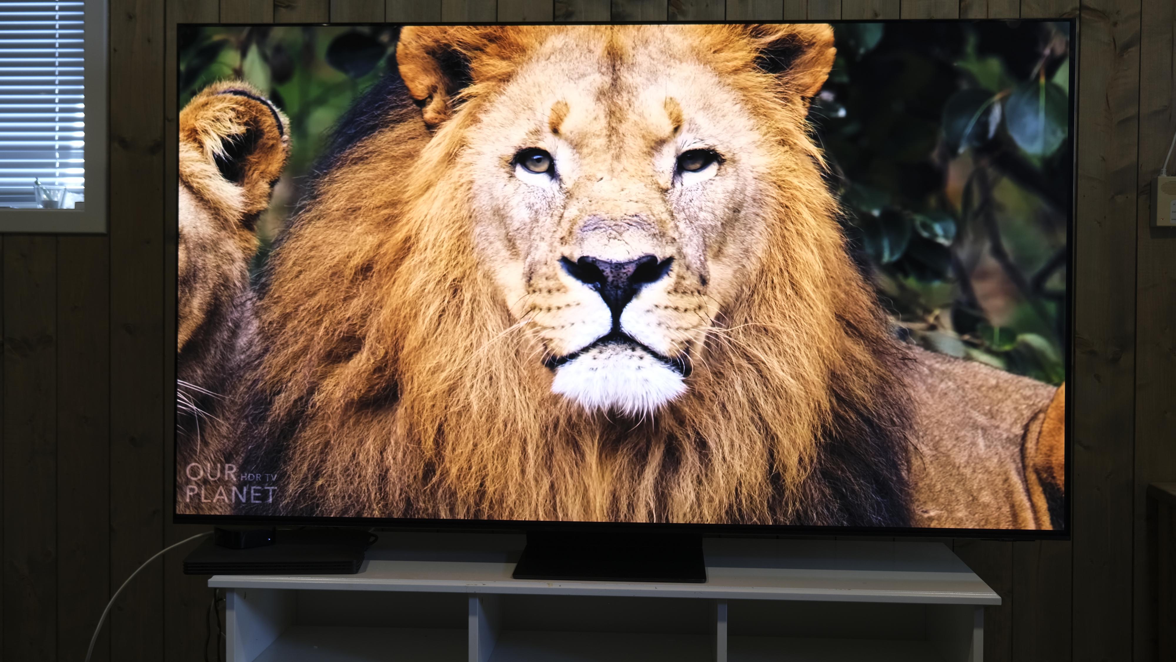 Samsungs S95C er en vanvittig god TV. 