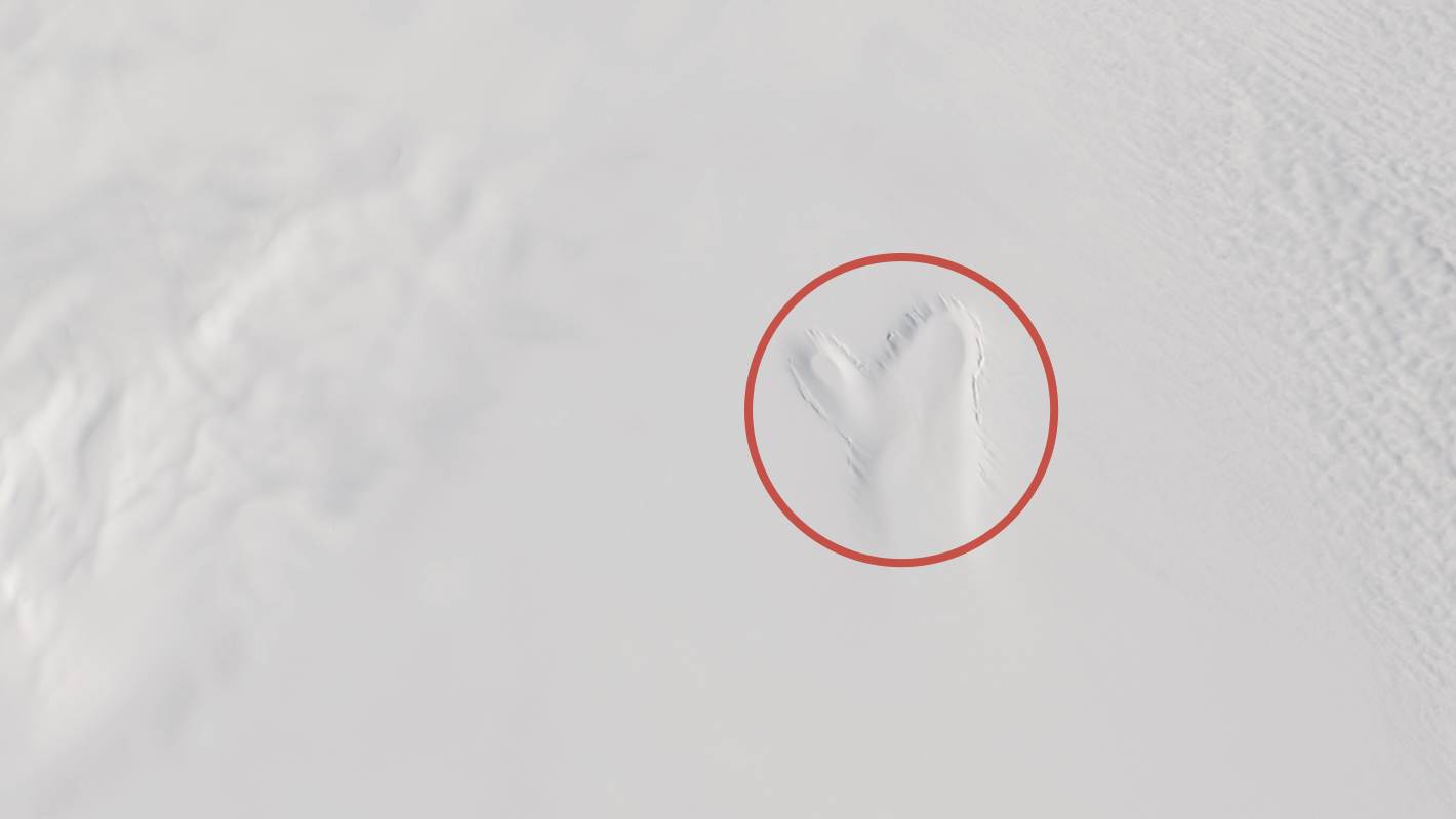 Se hva NASA fant på Grønland