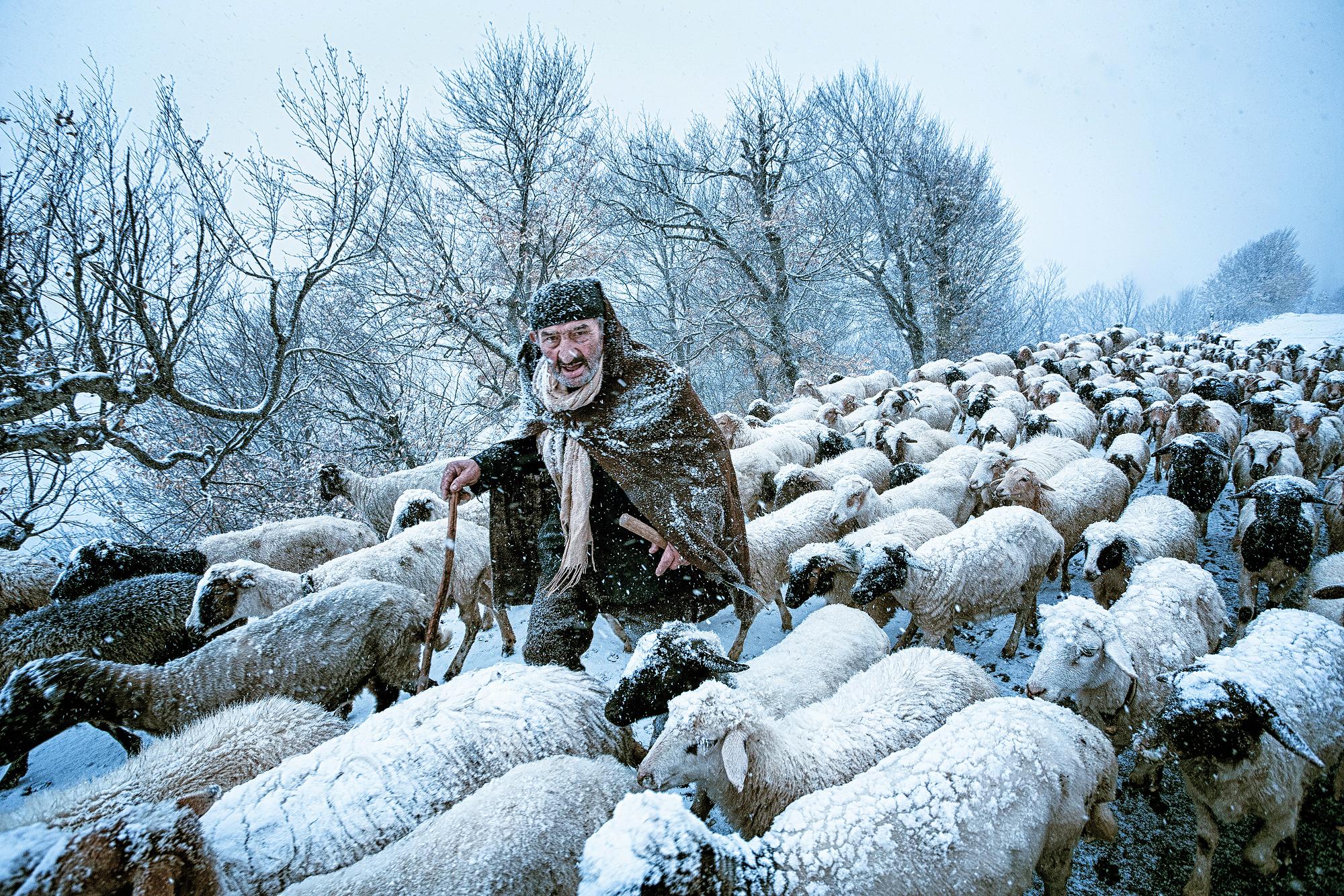 An old shepherd that had been surprised by snow storm in Gilan's countrysides in the north of Iran. Foto: Saeed Barikani, Iran, Shortlist, Smile, Open, 2015 Sony World Photography Awards