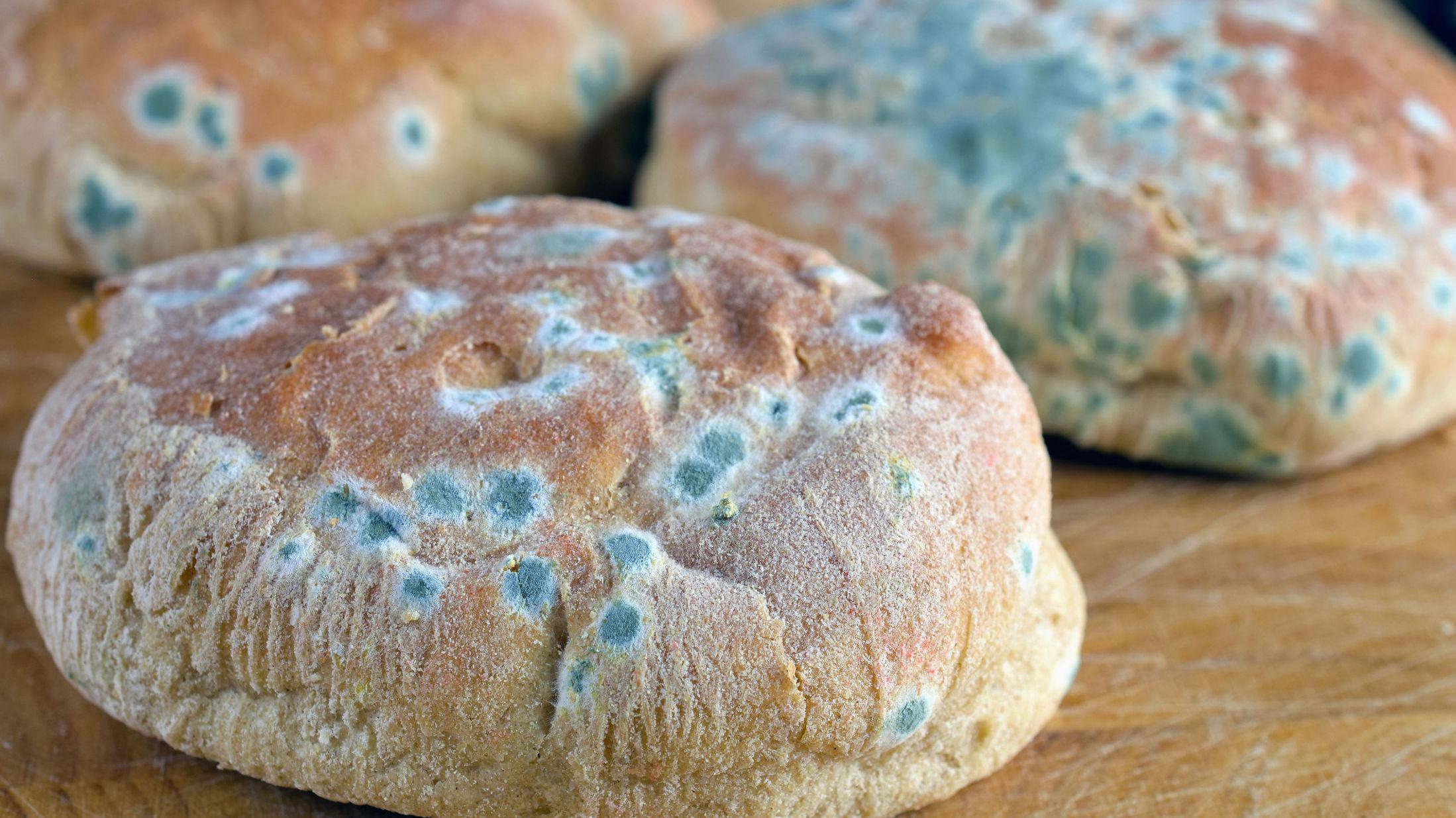 KAST: Brød er en av matvarene som ikke bør spises om det har fått mugg på seg.