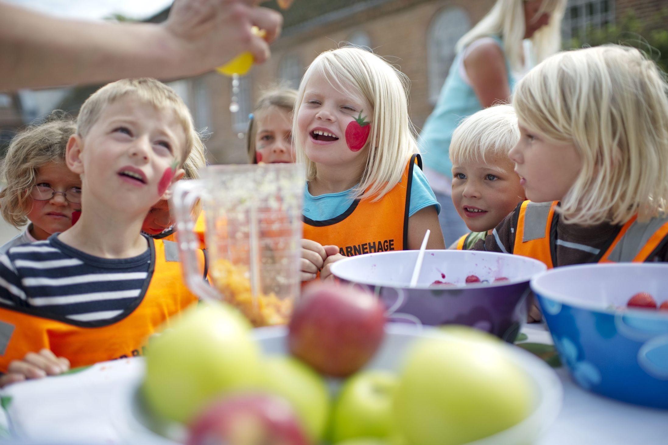 SPENNENDE: Festivalen Matfold har et fokus på økologisk mat. Tidligere har de holdt flere kurs for barn, som i for eksempel smoothie-kokkelering. Foto: Ole-Martin Grav/VG