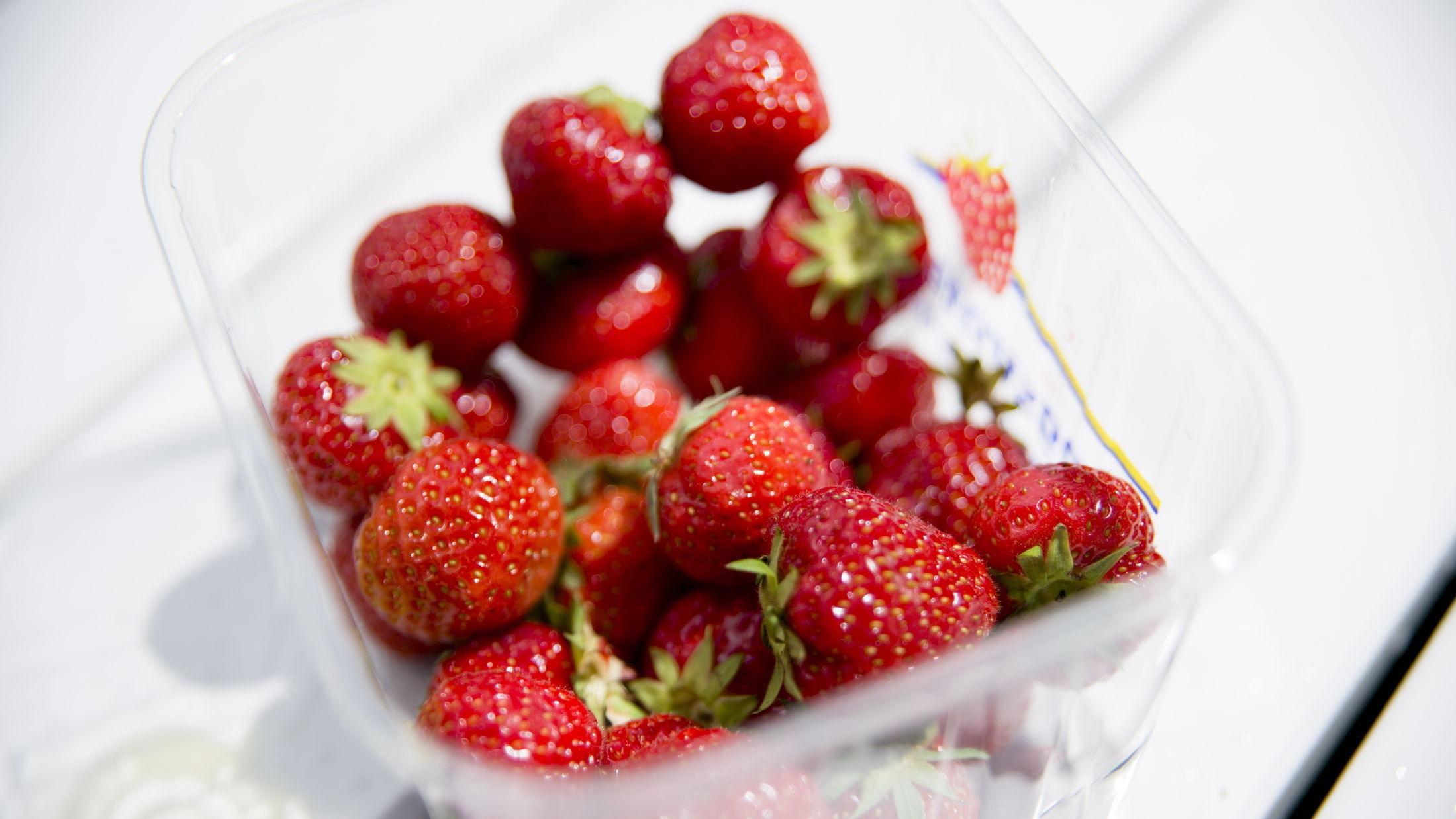 POPULÆRT: Tidlig jordbærsesong fører til at flere produsenter nå er tomme for bær. Foto: Robert S. Eik/VG