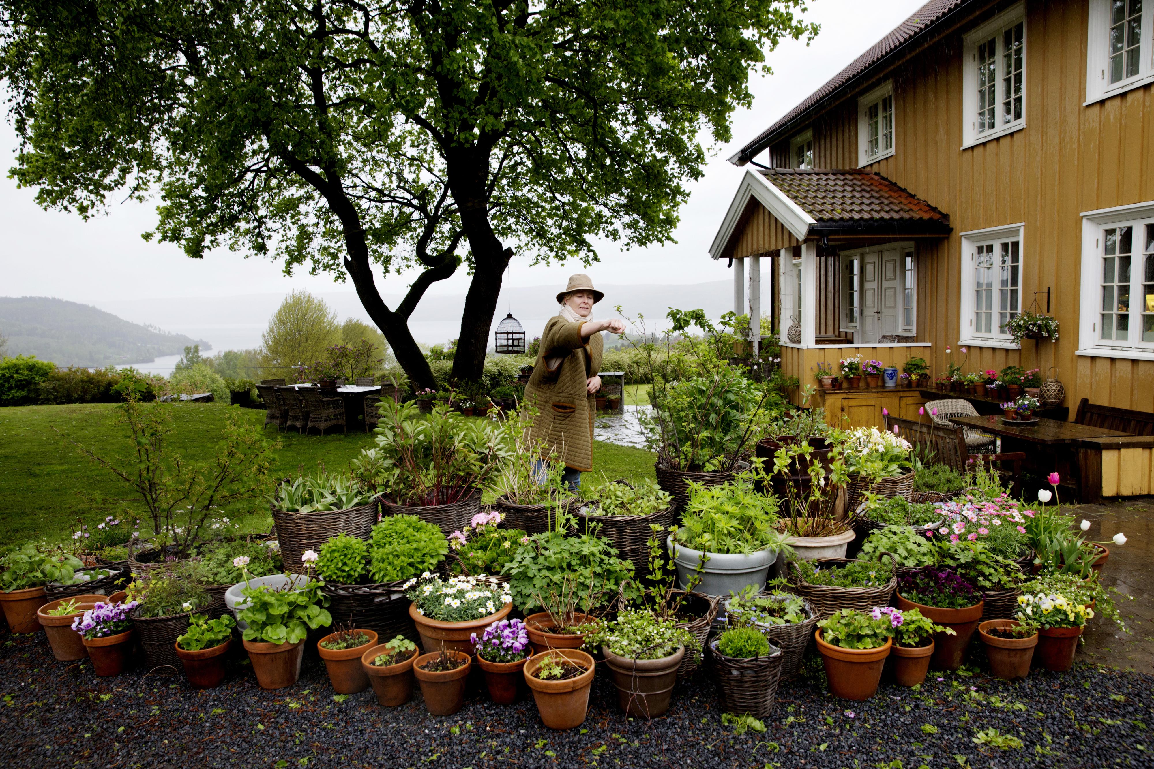LIDENSKAP: Hjemme i Røykenvik på Hadeland dyrker Benedikte Ferner sin lidenskap for blomster.