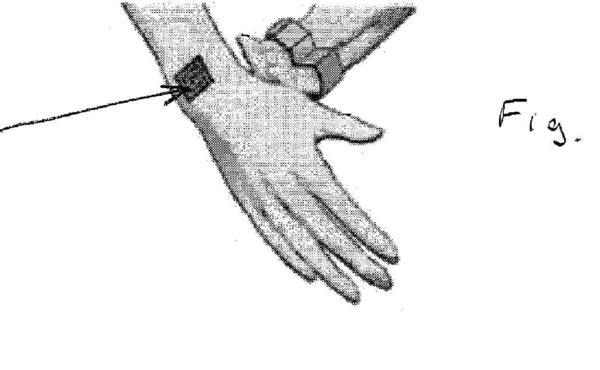 Bilde av patentet (U.S. Patent and Trademark Office)
