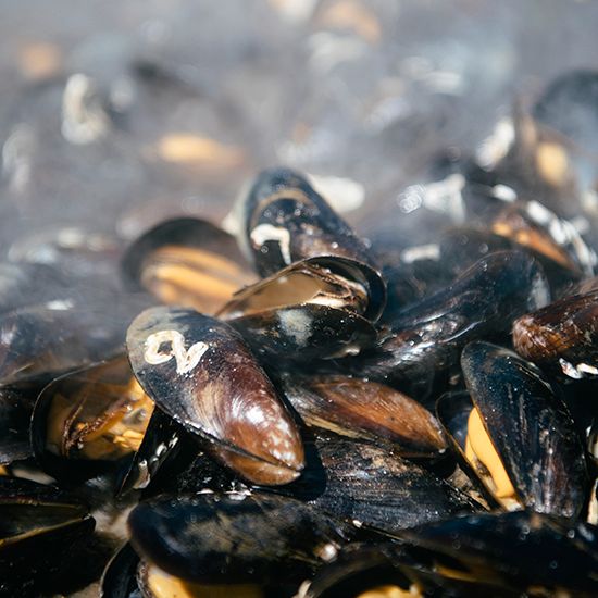 NYA RÄTTER. – Just nu håller vi på att ta fram nya sätt att servera musslor på, som musselburgare och nuggets. Eftersom musslor är så klimatsmart, är jag övertygad om att det är här vi har en stor del av framtidens mat, säger Janne Bark.