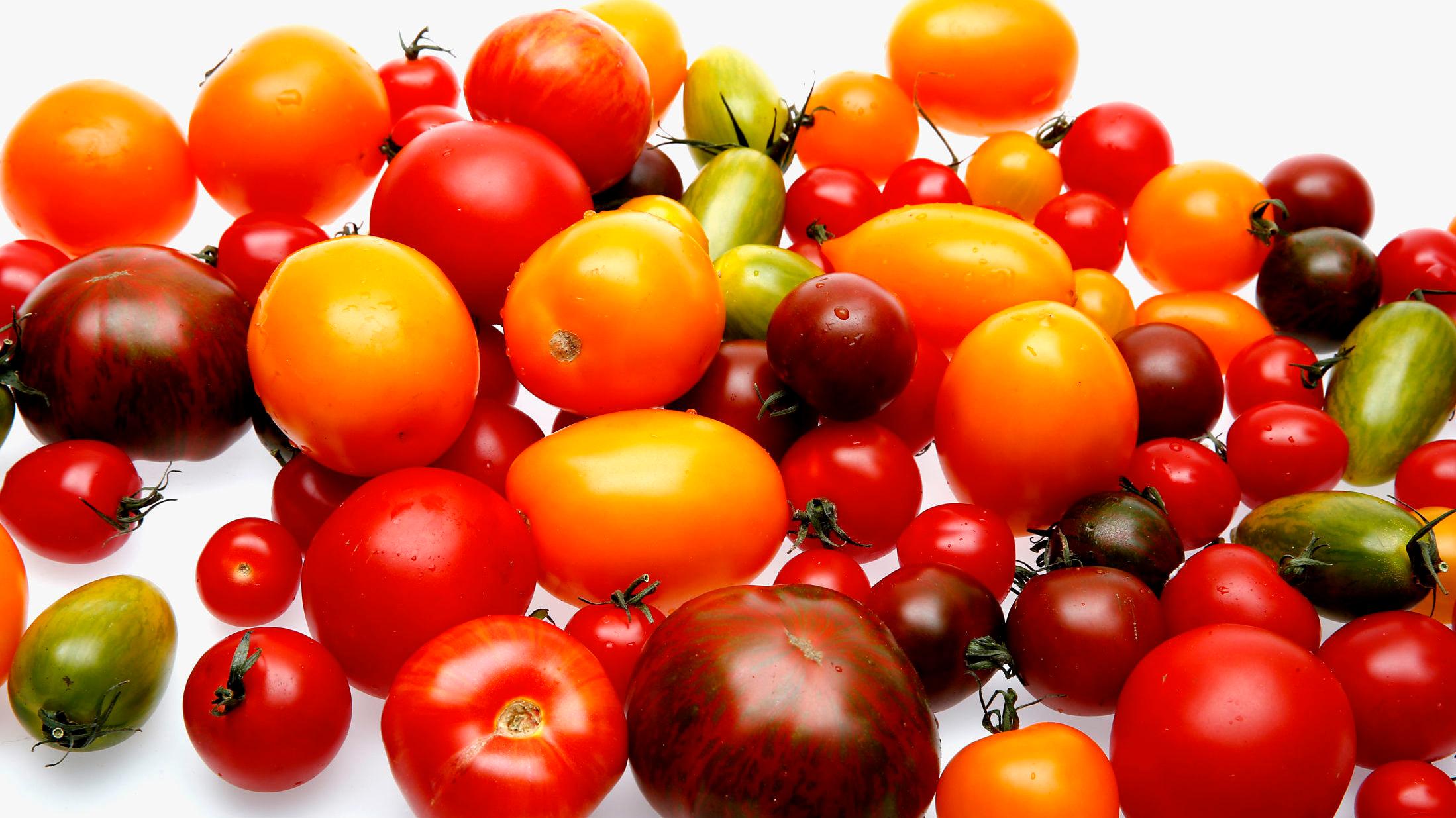 TA EN TOMAT: Tomaten er egentlig en frukt - og kan godt spises som det også. Foto: Trond Solberg.