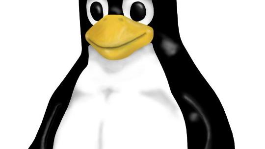 Bedre grafikkmuligheter for Linux